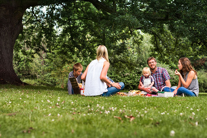 Família reunida em um parque, realizando um piquenique.